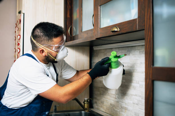 Pest Control for Restaurants in Goldstream, AK