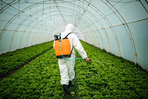 Best Ant Control Services  in Goldstream, AK