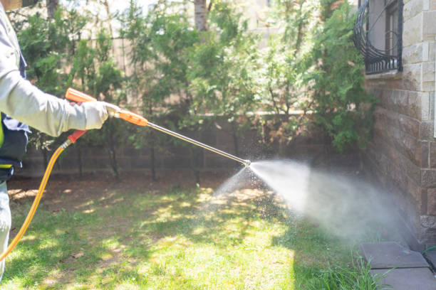 Best Affordable Pest Control Services  in Goldstream, AK