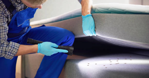 Best Cockroach Control Services  in Goldstream, AK